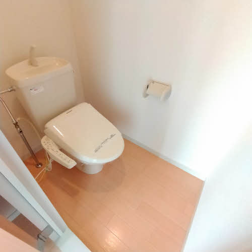 ニューグラッド.マイ Bのトイレ写真