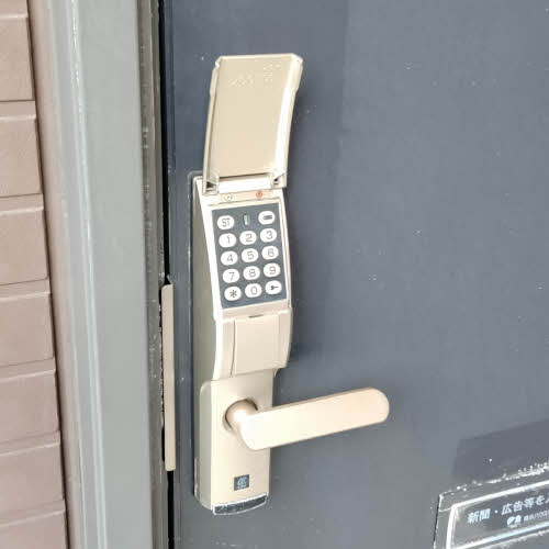 ニューグラッド.マイ Bのその他写真
