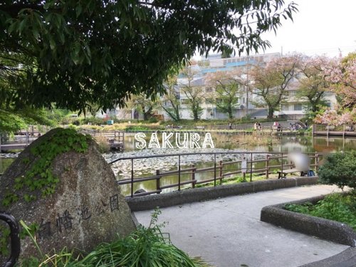 公園　白幡池公園（公園）まで439m