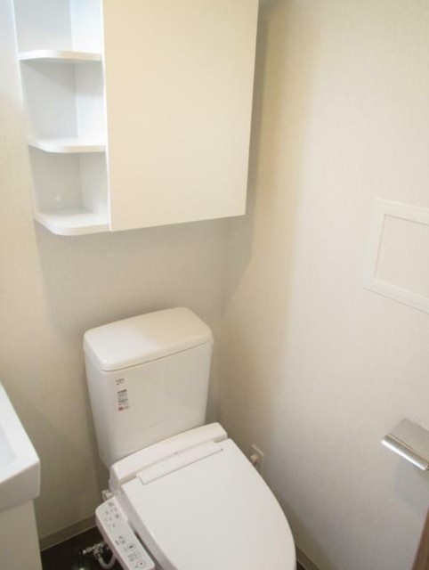 ラフィスタ川崎IIIのトイレ写真