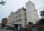 小学校　九条南小学校（小学校）まで270m