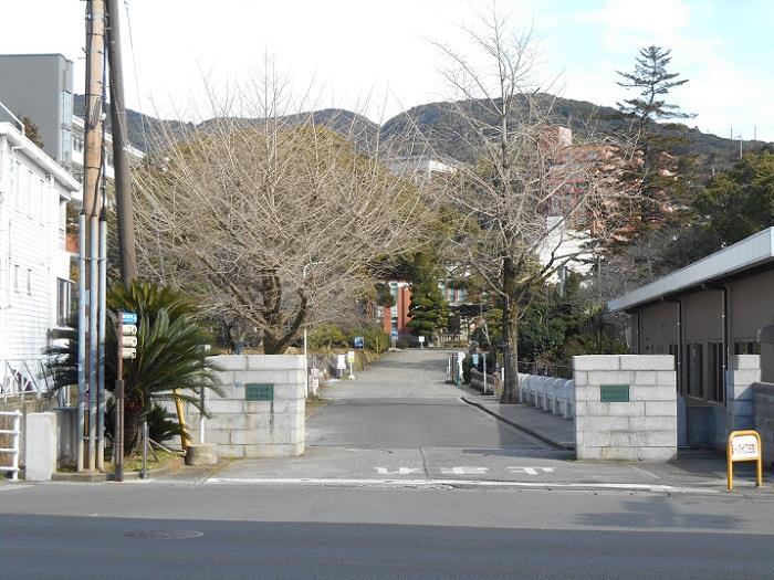 大学・短大　国立長崎大学医学部（大学・短大）まで596m