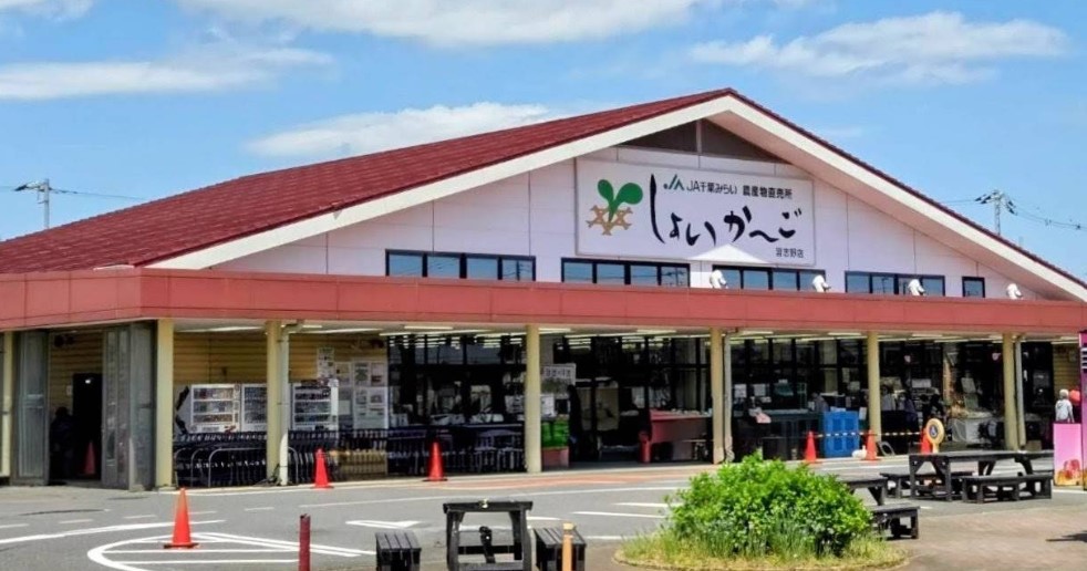 スーパー　JA千葉みらい しょいか-ご習志野店（スーパー）まで920m