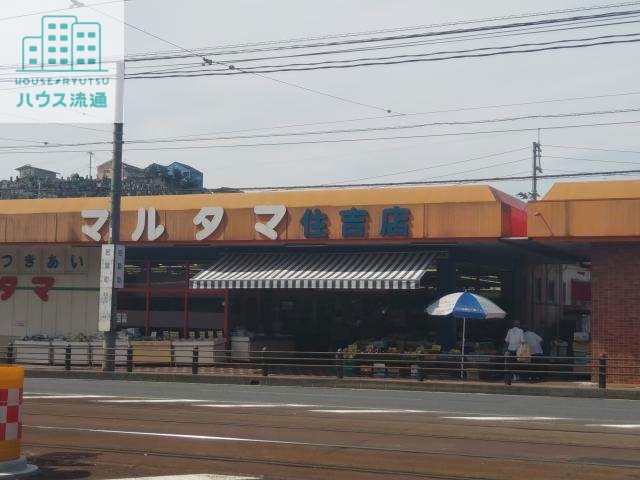 スーパー　長崎マルタマ住吉店（スーパー）まで1206m