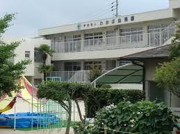 幼稚園・保育園　わかば幼稚園（幼稚園・保育園）まで145m