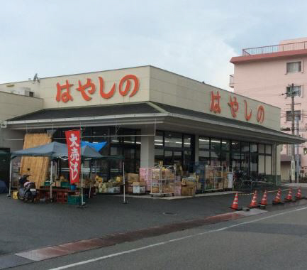 スーパー　スーパーはやしの（スーパー）まで550m