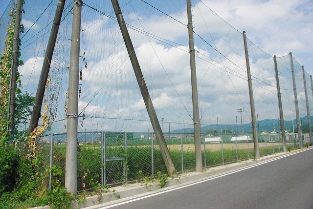 【天理市東井戸堂町のアパートの大学・短大】