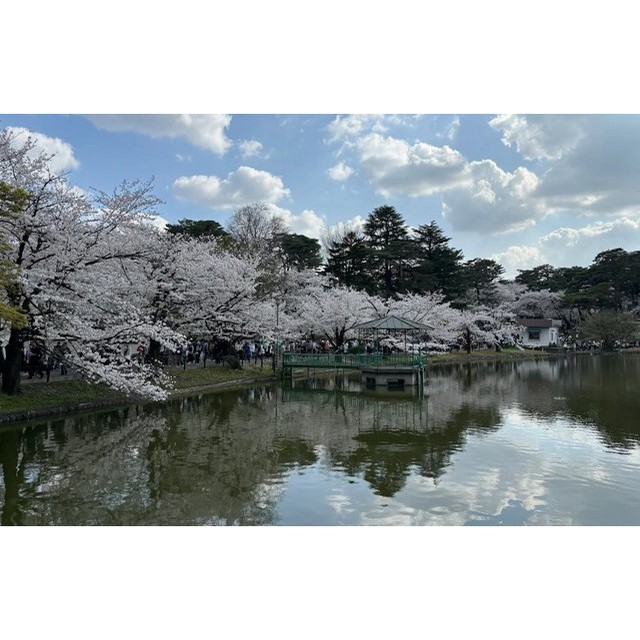 公園　大宮公園（公園）まで480m