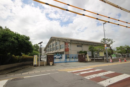 中学校　昭栄中学校（中学校）まで842m