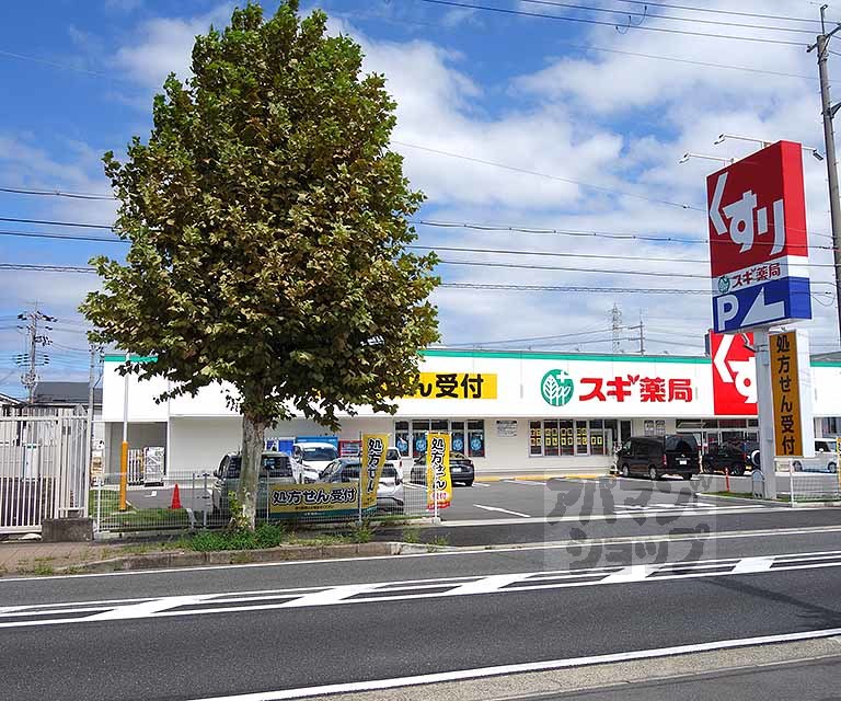 ドラックストア　スギドラッグ 上植野店（ドラッグストア）まで500m