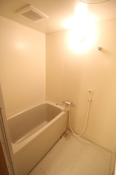 バス・シャワールーム　２０２号室写真です