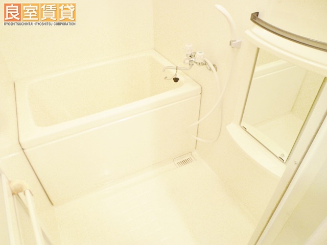 バス・シャワールーム　同型タイプの別のお部屋の写真です