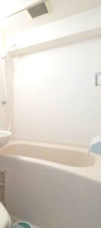 バス・シャワールーム　お風呂です
