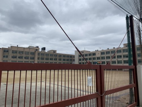 中学校　大阪市立我孫子中学校（中学校）まで540m