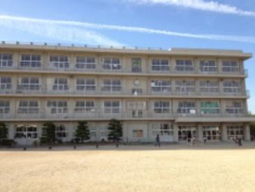 小学校　福山市立緑丘小学校（小学校）まで248m