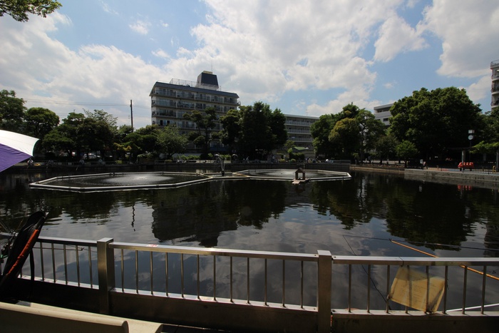 公園　清水池公園（公園）まで300m