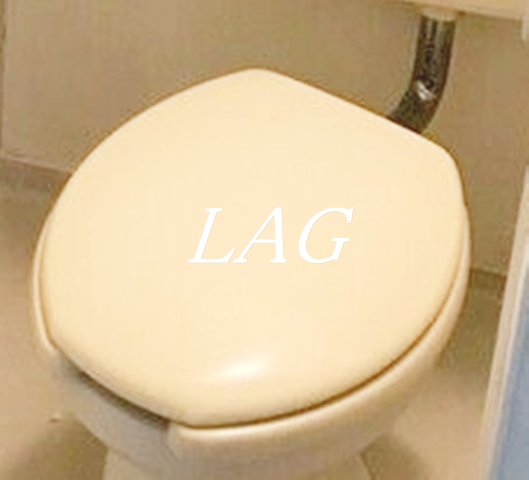 トイレ　トイレです。