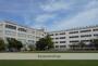 小学校　第六砂町小学校（小学校）まで363m