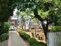 幼稚園・保育園　恵泉幼稚園（幼稚園・保育園）まで1095m