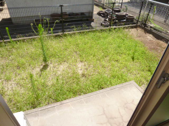 庭