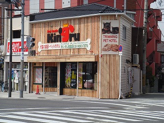 その他　ペットオアシス キングル住吉店（その他）まで945m