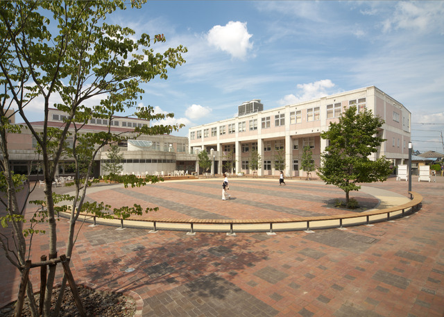 大学・短大　実践女子大学(短大)（大学・短大）まで363m