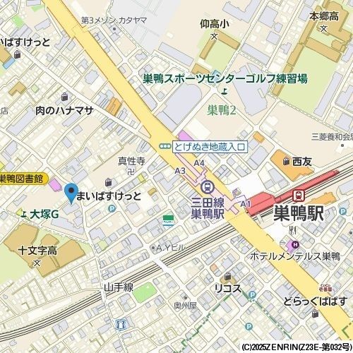 庭