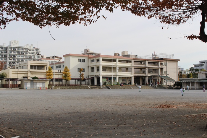 小学校　崇善小学校（小学校）まで1000m