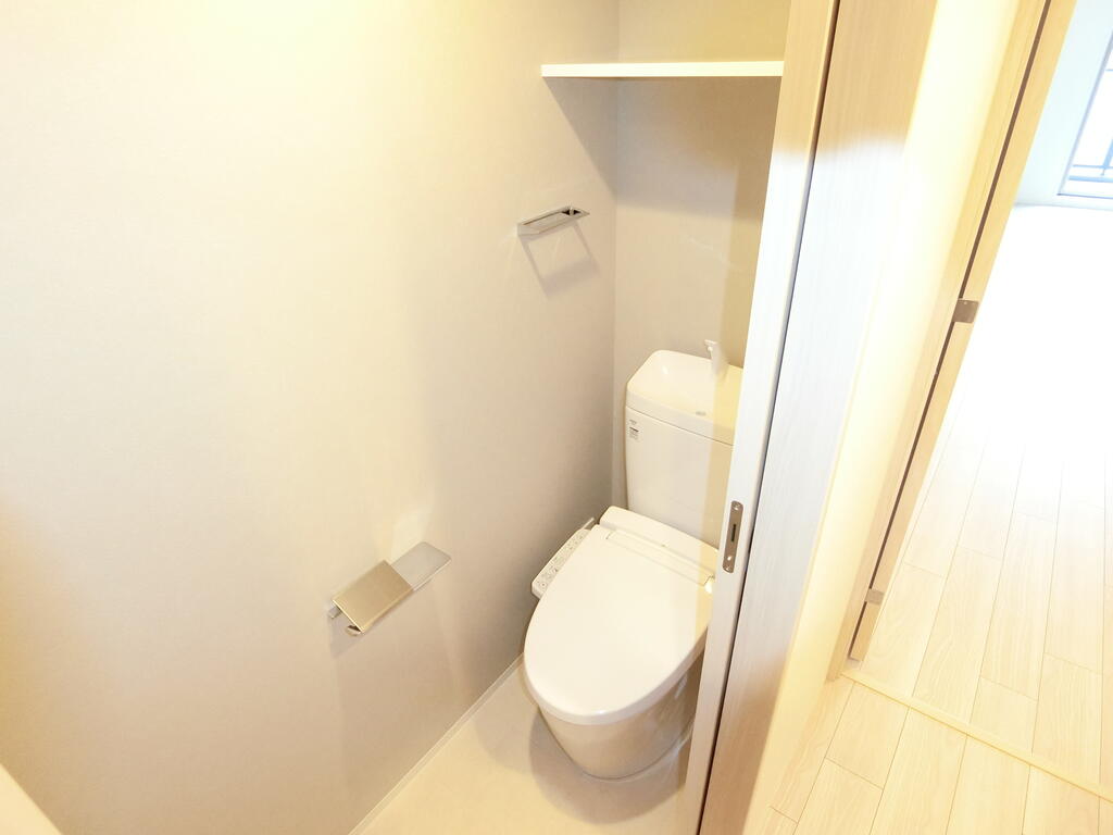 コンフォリア・リヴ東三国駅前ソルテラスのトイレ写真