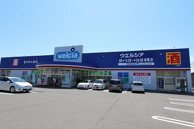 ドラックストア　ウエルシア新潟寺尾店（ドラッグストア）まで909m
