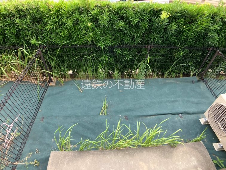 庭