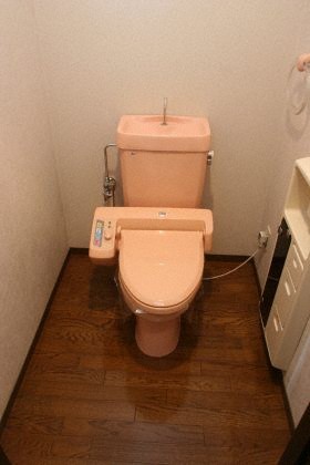 ビッグパレス西線WESTのトイレ写真