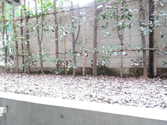 その他　※別部屋写真です。
