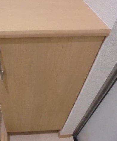 玄関　玄関部分