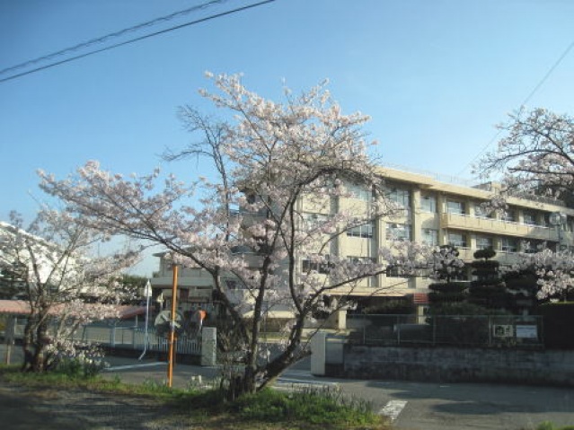 【岡山市東区楢原のマンションの中学校】