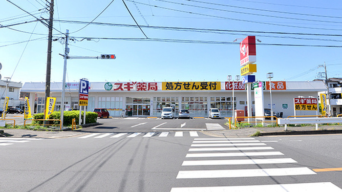 ドラックストア　スギ薬局南元宿店（ドラッグストア）まで500m