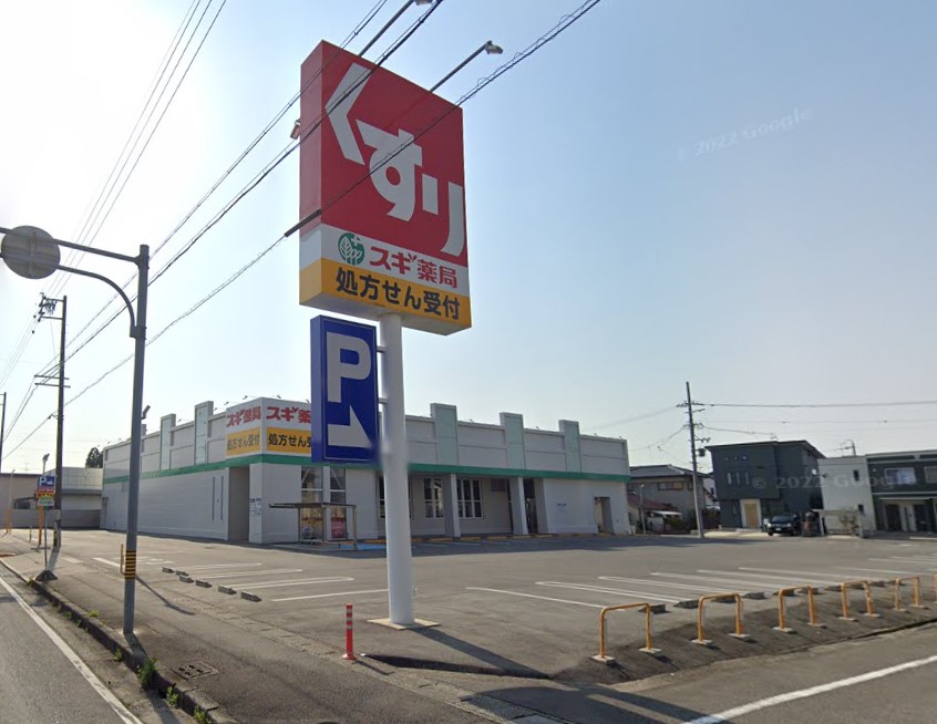 ドラックストア　スギ薬局 西春店（ドラッグストア）まで1142m