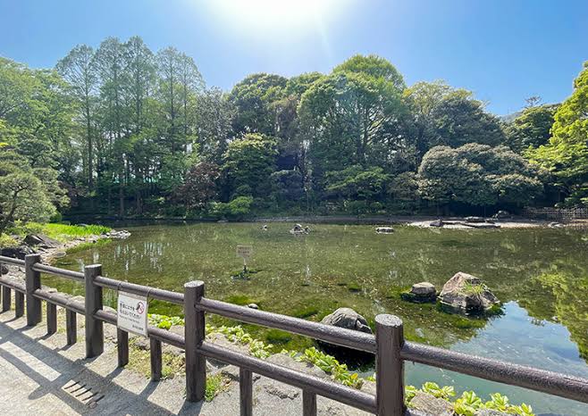 公園　戸越公園（公園）まで613m