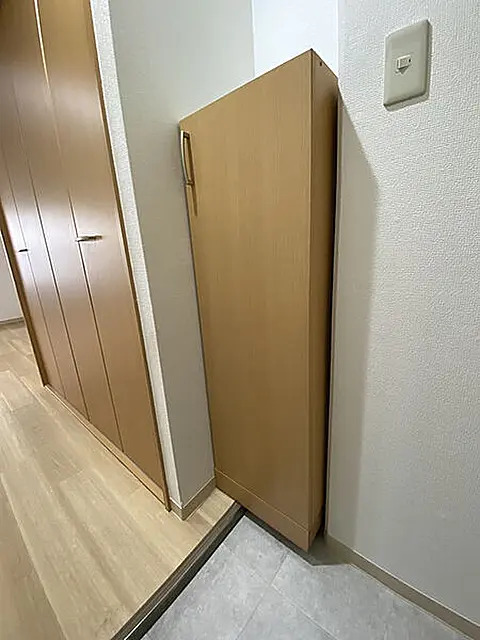 玄関　※反転タイプ参考写真