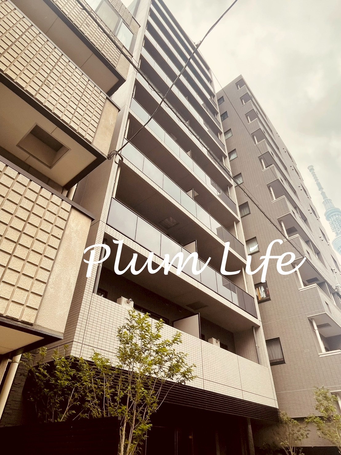 建物外観