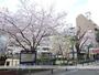 公園　山口本町公園（公園）まで240m