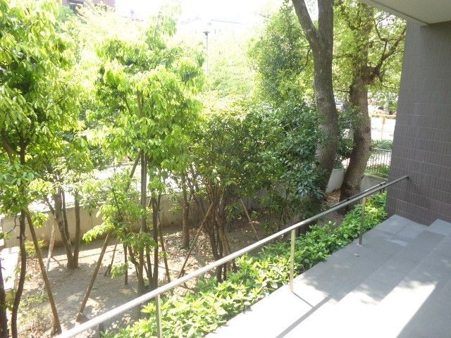 庭　植栽