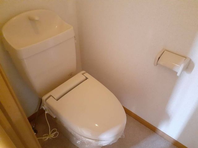 ライゼ・アルカンシエルCのトイレ写真