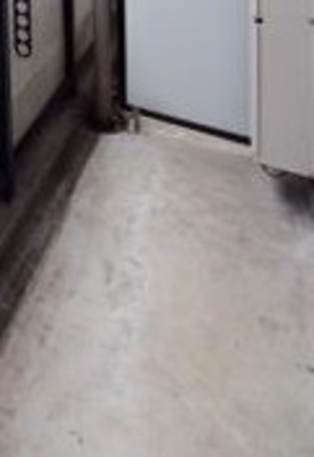 バルコニー　バルコニーあります