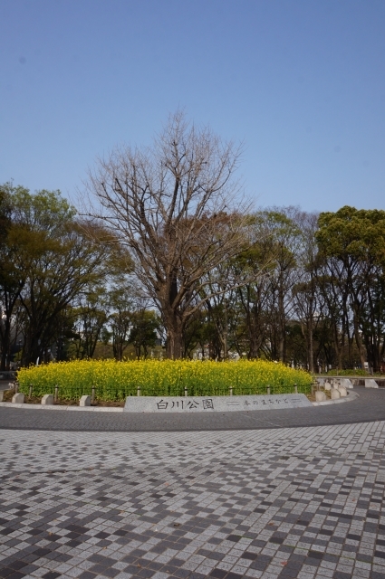 公園　白川公園（公園）まで301m