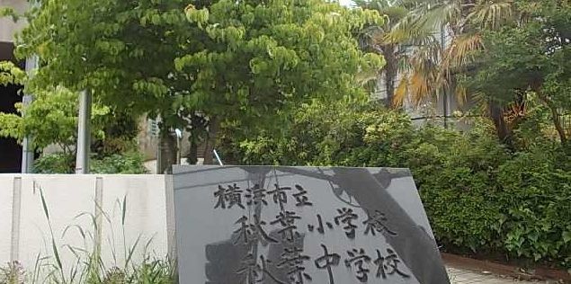 小学校　秋葉小学校（小学校）まで557m