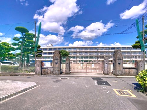 小学校　高知市立旭小学校（小学校）まで701m