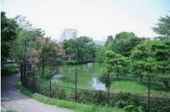 公園　菊田水鳥公園（公園）まで885m