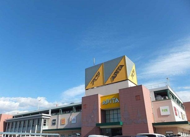 ショッピングセンター　アピタ安城南店（ショッピングセンター）まで1200m