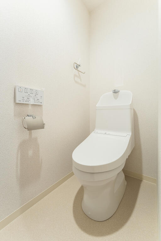 トイレ　写真はイメージ　色味の参考